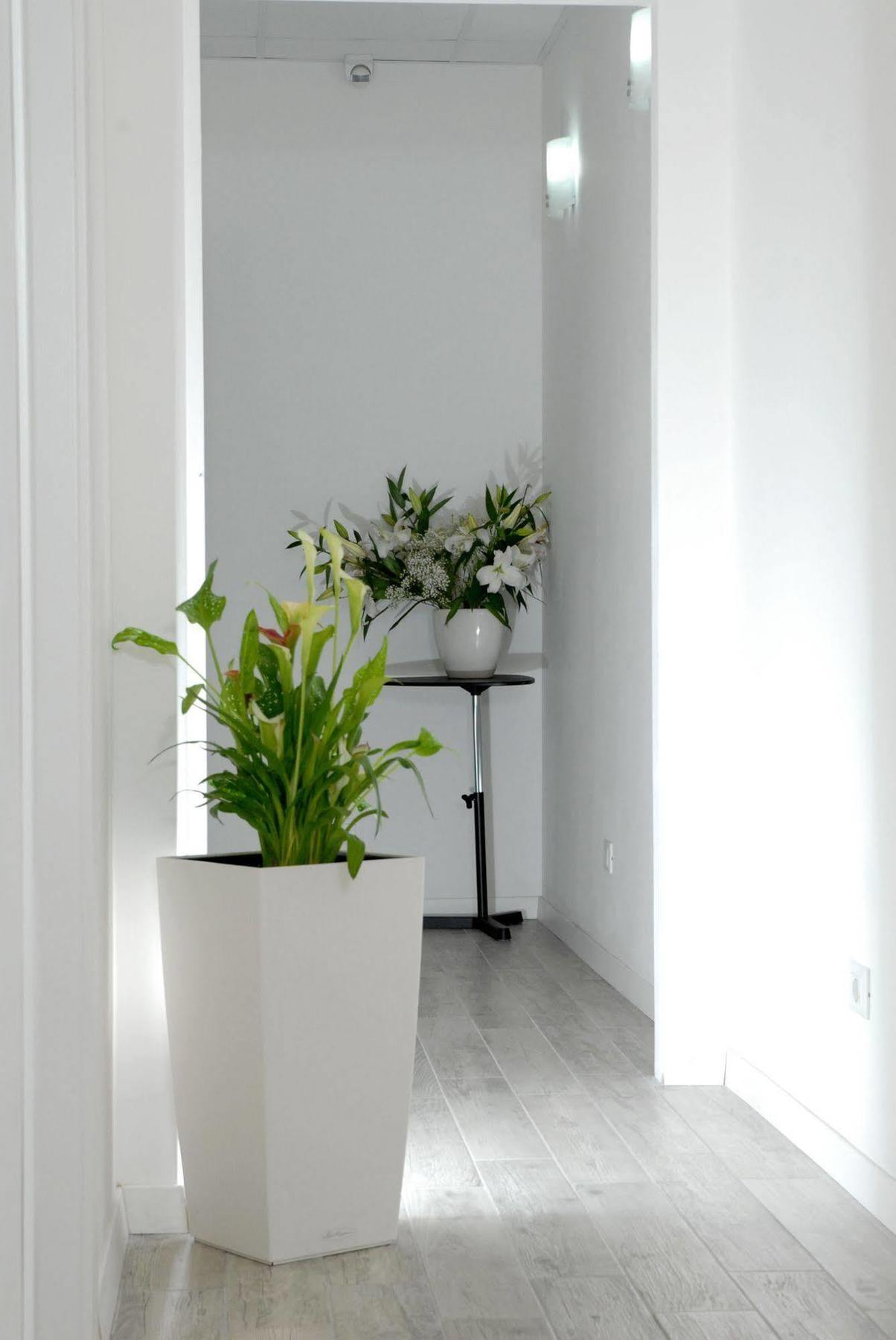 Gardenia Suite Рим Экстерьер фото